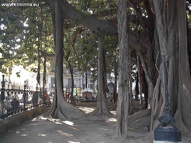 PalermoVilla_Garibaldi012 