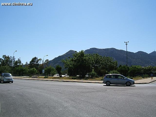 Palermo8115 
